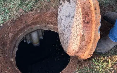 The Role of Bacteria in Septic Tanks: Nature’s Cleanup Crew